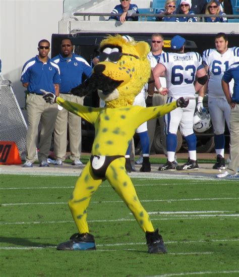 Jacksonville jaguars mascot costume